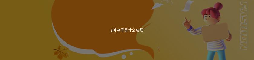 aj4電母是什么皮質
